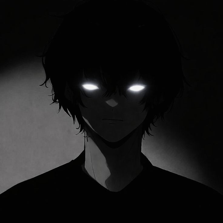 Avatar do criador do WinOptimizer